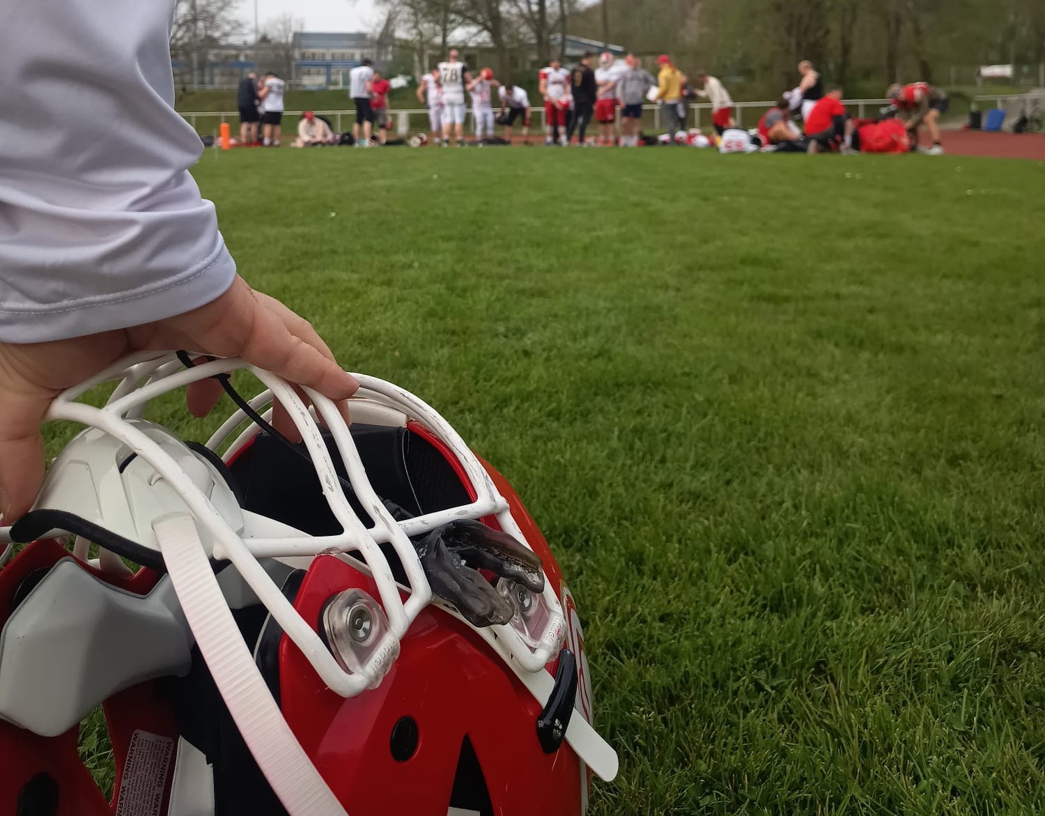 Cougars starten ins Trainingscamp